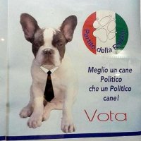 Cachorro Politico da Itália