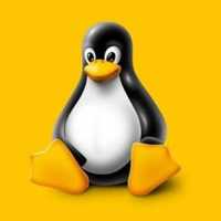 Sistema Operacional Linux Completa 24 Anos