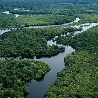 A Floresta Amazônica É Mesmo o  'Pulmão do Mundo'?